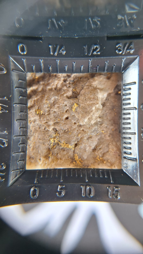 Itaituba Gold Project