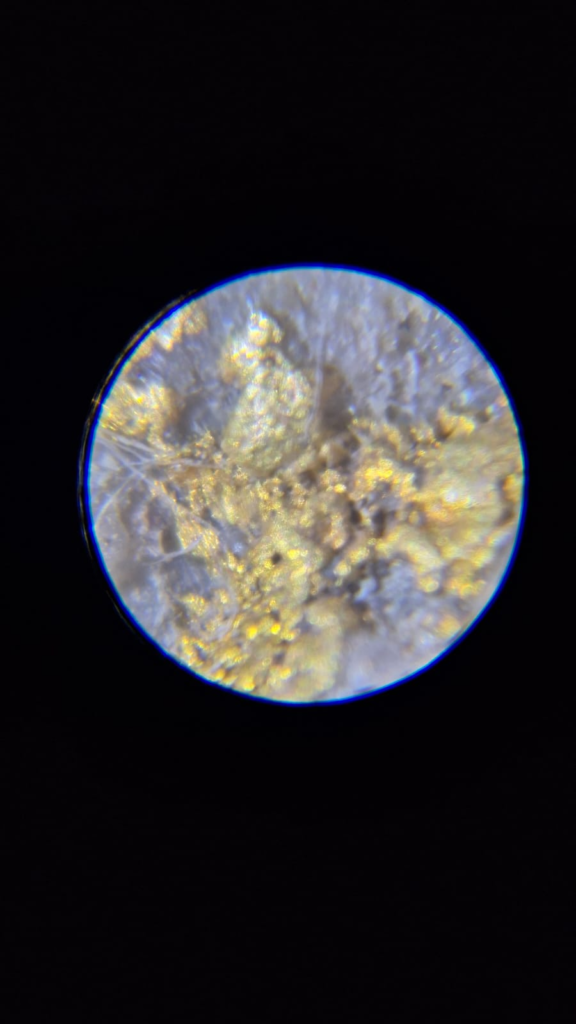 Itaituba Gold Project