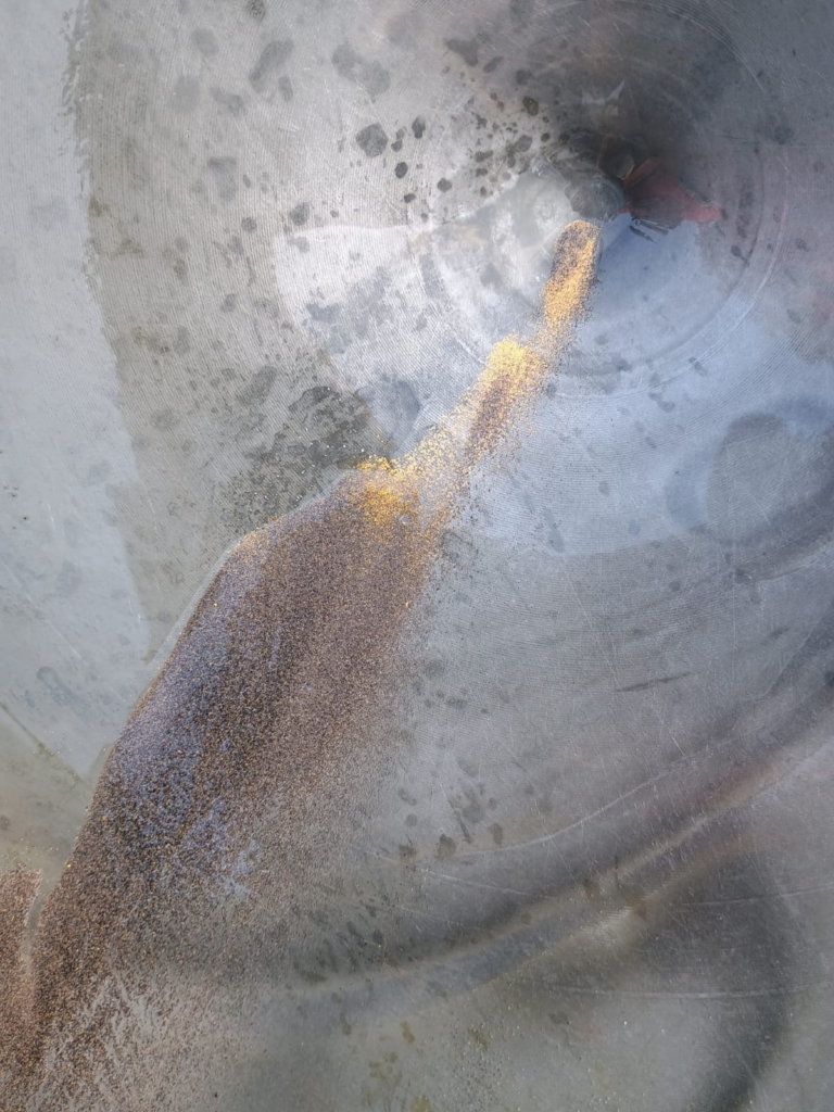 Itaituba Gold Project